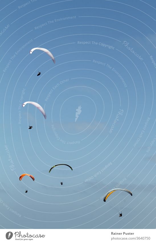 Paragliders off the coast of San Diego, California activity air background blue california cliff day extreme flight fly freedom paragliding recreation san diego