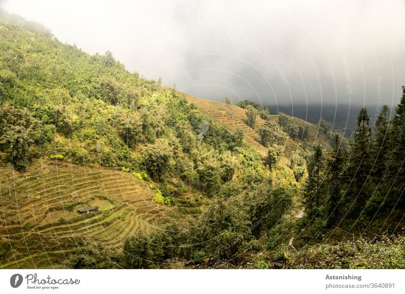 Landscape in the mist of SaPa, Vietnam Weather Exotic stagger Exterior shot sa pa sapa Asia Nature Vacation & Travel plants Vantage point Agriculture
