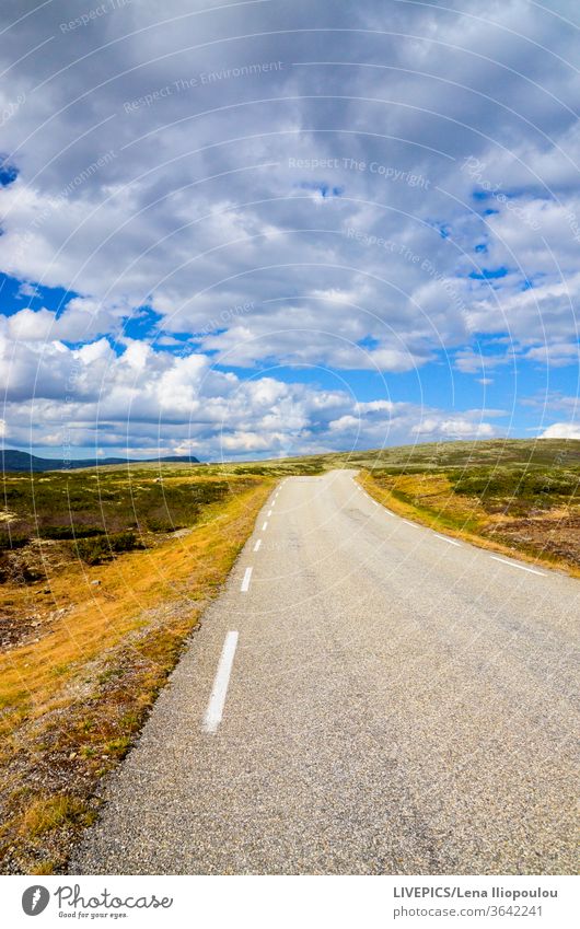 road in a landscape without people on a cloudy day blue clouds copy space daylight direction fauna forward grass green nature sky travel way yellow Asphalt