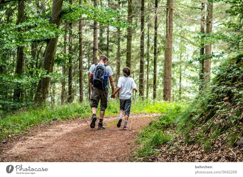 conform | in step Hold hands Forest Vacation & Travel Love Family & Relations Parents Child Man Boy (child) Hiking Father Son Summer Nature Exterior shot