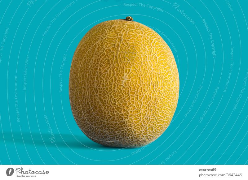 Cantaloupe yellow melon fruit on blue background cantaloupe closeup delicious diet fresh juicy nutrition organic raw summer sweet texture tropical turquoise