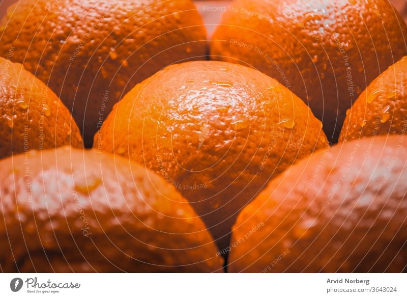 Close up of several oranges with water droplets background bright citrus closeup color food fresh freshness fruit fruits green healthy isolated juice juicy