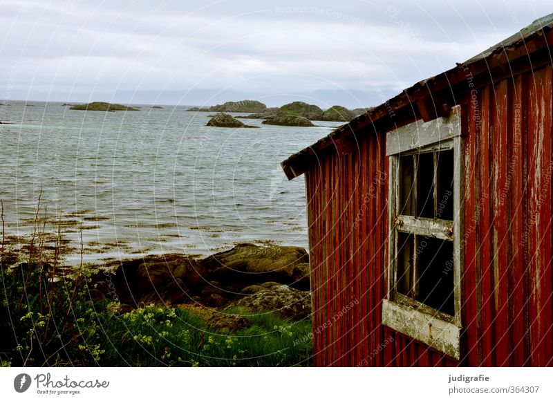 Norway Environment Nature Landscape Water Climate Rock Coast Fjord Deserted House (Residential Structure) Hut Building Facade Window Old Small Natural Wild