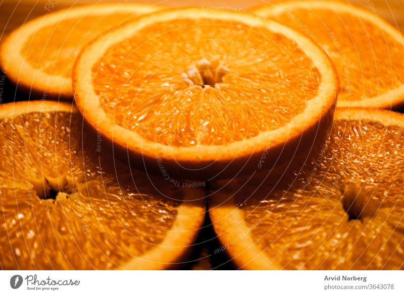 Freshly cut circular slices of orange abstract background circle citrus closeup color dessert diet eat eating food fresh freshness fruit fruits health healthy