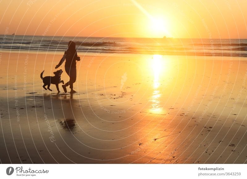 Woman with dog on the beach at sunset Sunset on the beach sunset mood Beach Reflection Ocean Sunset light Sunset sea woman with dog Man with dog man with animal