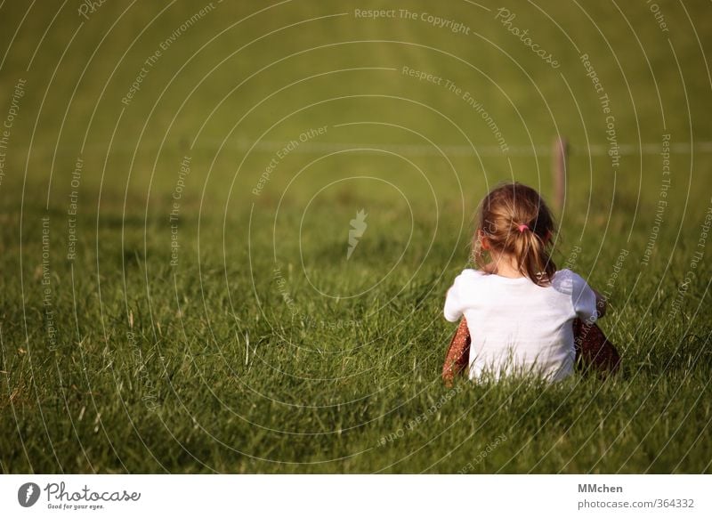 let your clarity define you Well-being Senses Meditation Garden Feminine Girl 1 Human being 3 - 8 years Child Infancy Nature Earth Grass Meadow Observe