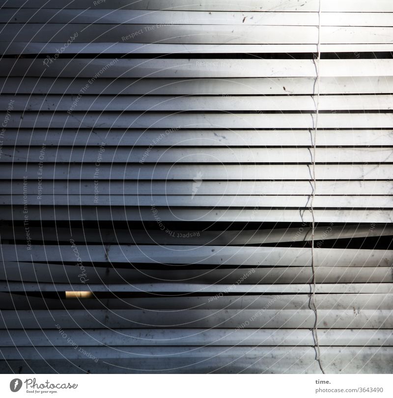 the scene blinks urban Venetian blinds Town Whimsical Facade perspective Window Gray Across Parallel level Inspiration Puzzle Surface heel monotonous Trashy