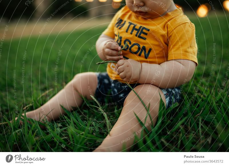 Baby child playing with grass Caucasian 0 - 12 months Child Children's game childhood Playing Summer Summer vacation outdoors Colour photo Human being Infancy