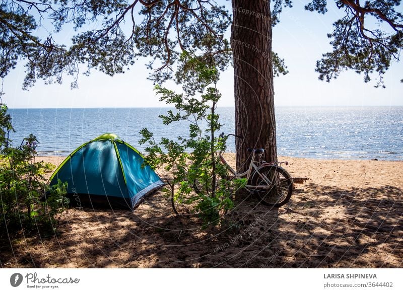 Camping, tent and bicycle on beach sea under the pine forest on shore of Gulf of Finland, St. Petersburg, Russia. Concept of outdoor activities, healthy lifestyle
