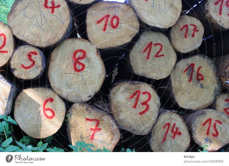 Numbers on stacked tree trunks. Numbered logs. figures Red numbered wood Forestry Lumber industry Sequence of numbers crosscut Red Numbers Digits and numbers