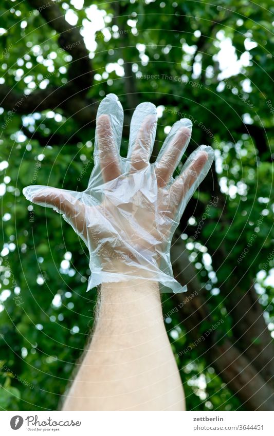 glove in hand by hand Protection insulation corona COVID covid 19 hygiene Man Human being person Healthy tree Branch Twig trunk Tree trunk Worm's-eye view