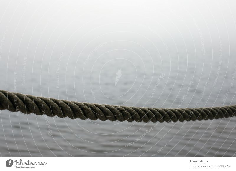 Rope with rope at Mummelsee Dew dew drops moisture cordon Lake Fog Misty atmosphere Water Environment Nature