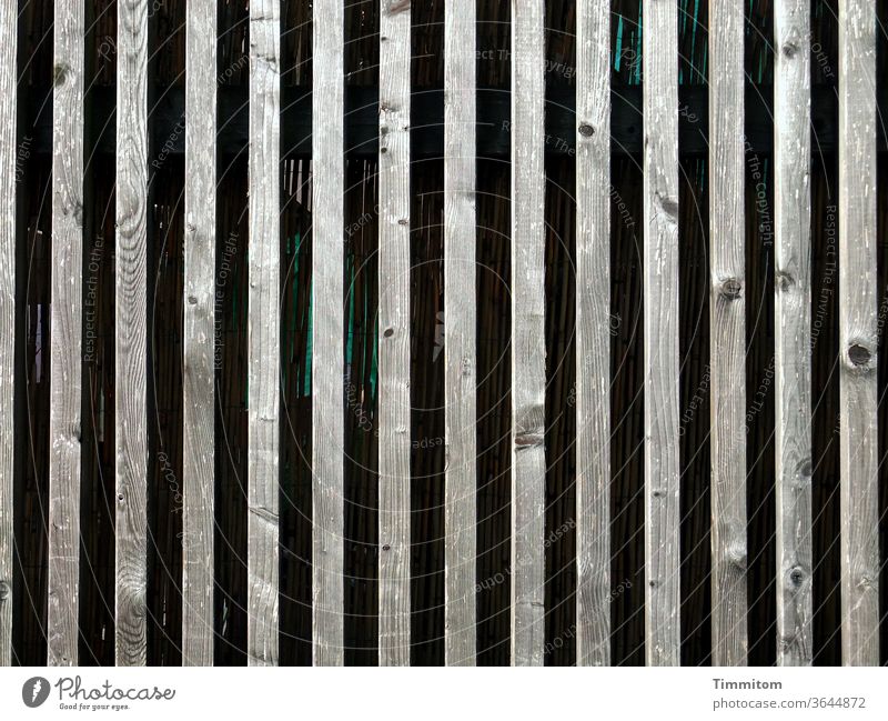 A quite sober and high wooden fence Wood Fence Wooden fence Wood grain background lines Dark Exterior shot Colour photo Deserted Partition