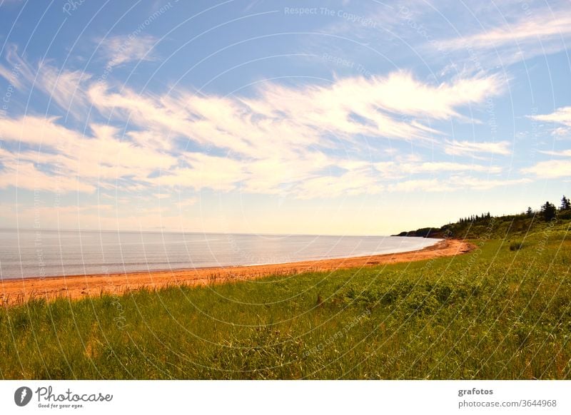 Red Cove Green Land Prince Edward Island Canada Iceland P.E.I. Exterior shot Colour photo Nature Landscape Day Environment natural Ocean Bay Blue farsightedness