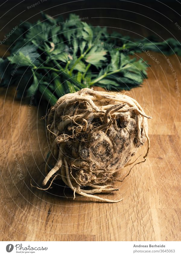 A sandy celeriac on a rustic oak kitchen table nature green organic root vegetable fresh plant healthy background food raw scented natural ingredient vegetarian