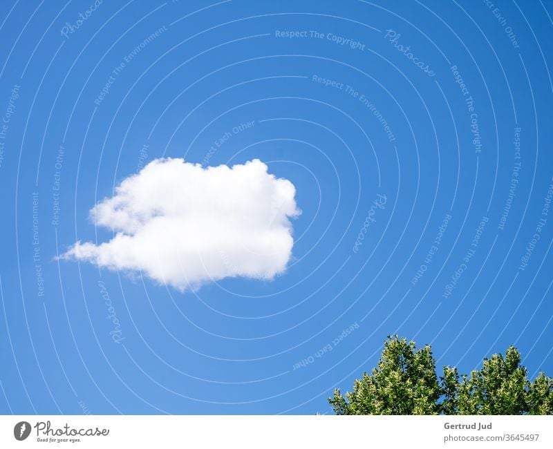 A white cloud in the blue summer sky Sky minimalism Blue Clouds Nature Beautiful weather Summer Day Exterior shot Deserted Colour photo Environment White