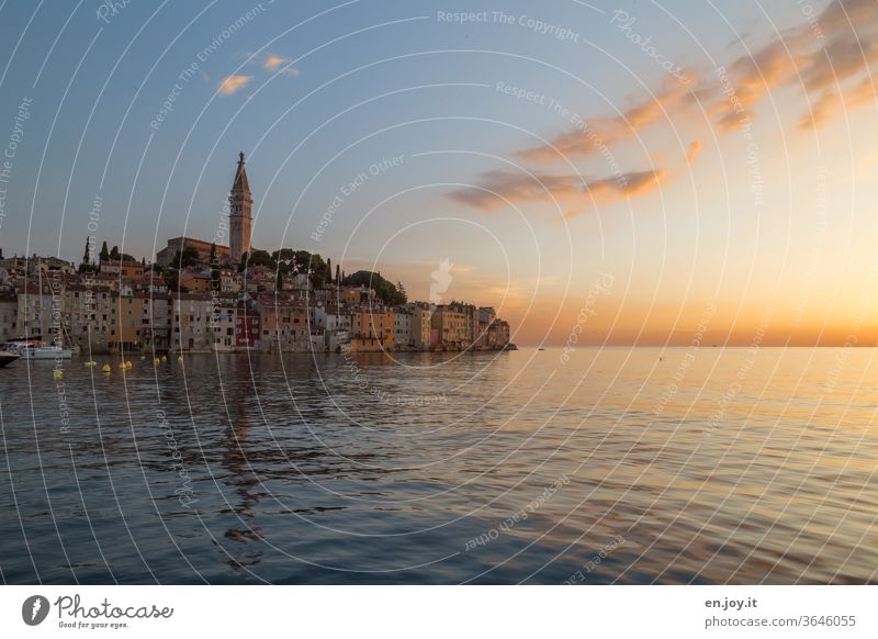 Rovinj in the light of the sunset Istria Croatia Europe Port City Sunset evening mood Vacation & Travel Horizon Church spire Old town Evening voyage vacation