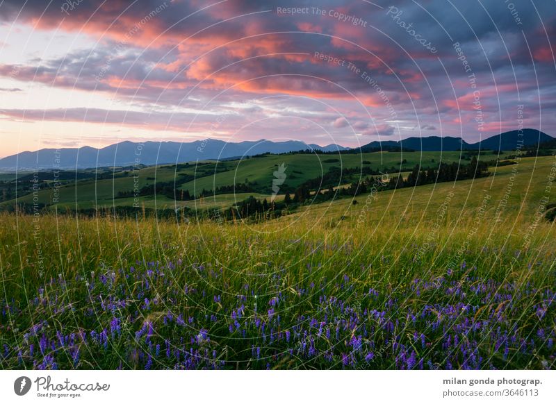 Rural landscape of Turiec region in northern Slovakia. countryside rural pastures summer agriculture nature rolling hills meadow flowers sunset mountains