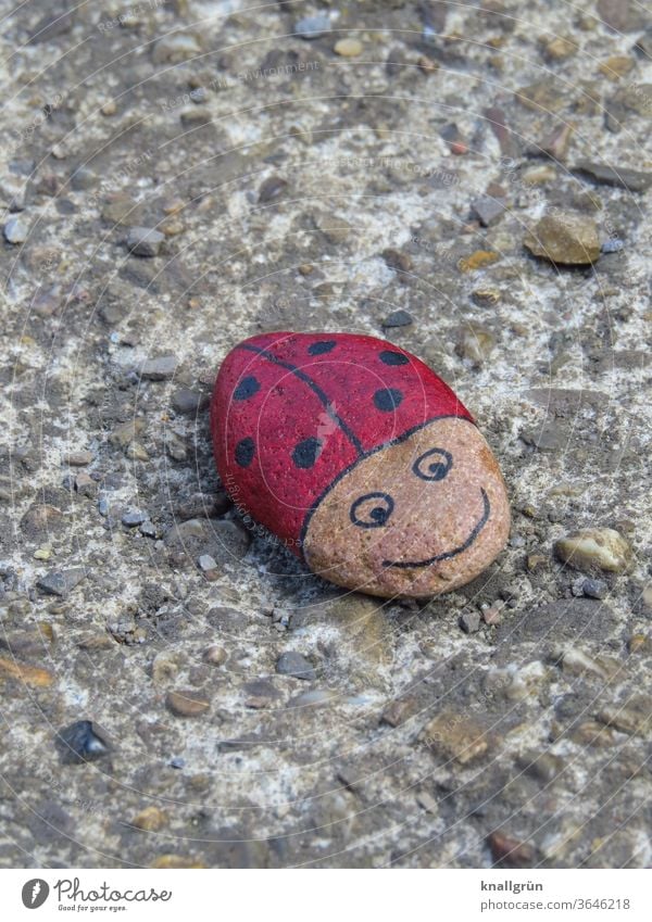 Ladybird lucky stone on a wall Lucky Stones Beetle DIY Animal Insect Macro (Extreme close-up) Close-up Red Point Exterior shot Good luck charm Small Black 1 Day