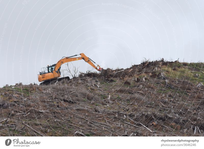 Orange digger contrasts from drab grey sky in the UK and brown surrounds. Deforesting is occurring, an environmental british landscape. earthwork deforestation