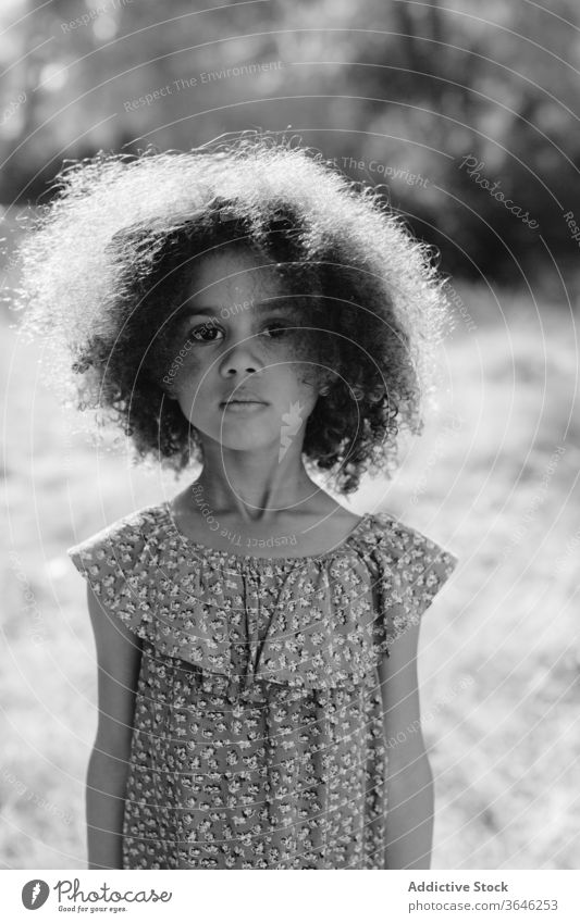 Serious little mulatto girl on blurred nature background black child serious portrait calm adorable summer style outfit unemotional curly hair cute sunlight