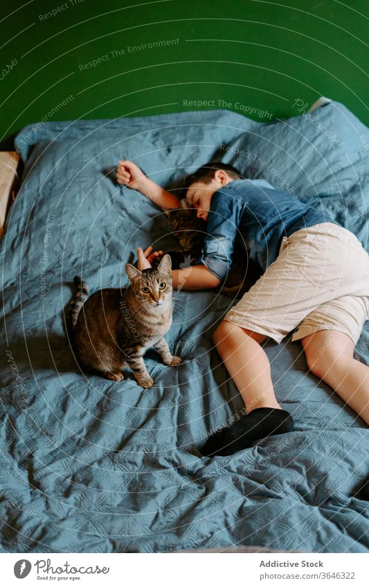 Tired boy and cat sleeping on bed peaceful nap cute casual together daytime hug comfort sweet relax adorable gray cozy lying calm serene tender care eyes closed