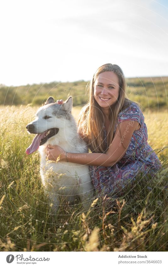Cheerful woman with dog in field relax friend alaskan malamute cheerful together domestic summer play female dress rest straw hat smile stroke caress friendly