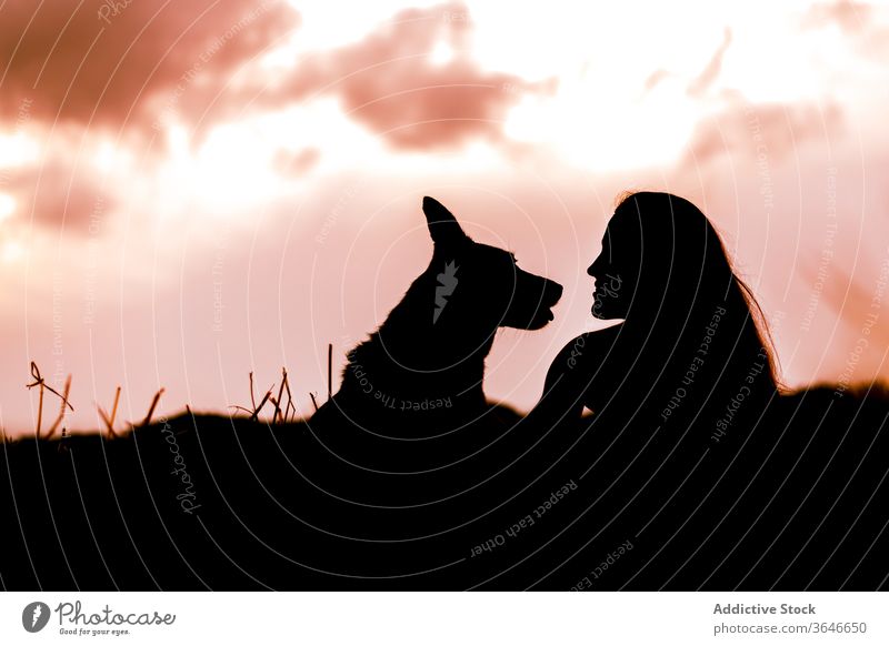 Silhouettes of woman and dog under cloudy sky at sunset silhouette affection harmony bonding evening together animal gentle purebred countryside relax quiet