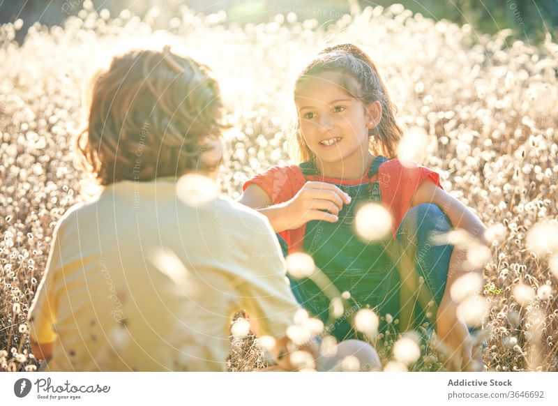 Ten-year-old boy and girl walking in the countryside active lifestyle tween two people sister tranquility smiling sitting kids sunlight children day