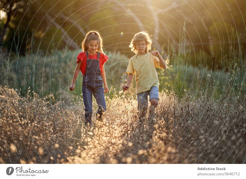 Ten-year-old boy and girl walking in the countryside active lifestyle tween two people sister tranquility smiling sitting kids sunlight children day