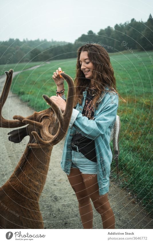 Smiling woman feeding deer in natural habitat nature overcast wild male smile traveler female road summer content animal vacation stand tourism cheerful holiday