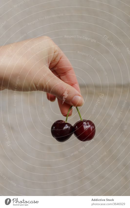 Crop woman with fresh cherry ripe organic natural grocery summer tasty female bag paper food product raw package vegan shopper nature delicious healthy lady