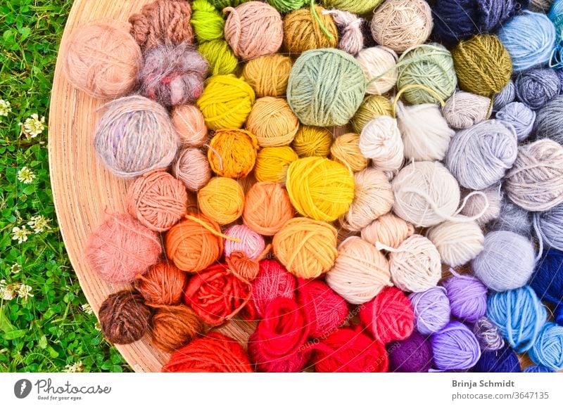 Many colorful balls of wool in a flat wooden bowl lying on the ground in the grass texture leisure pattern needlework creative textile knit work woven cotton