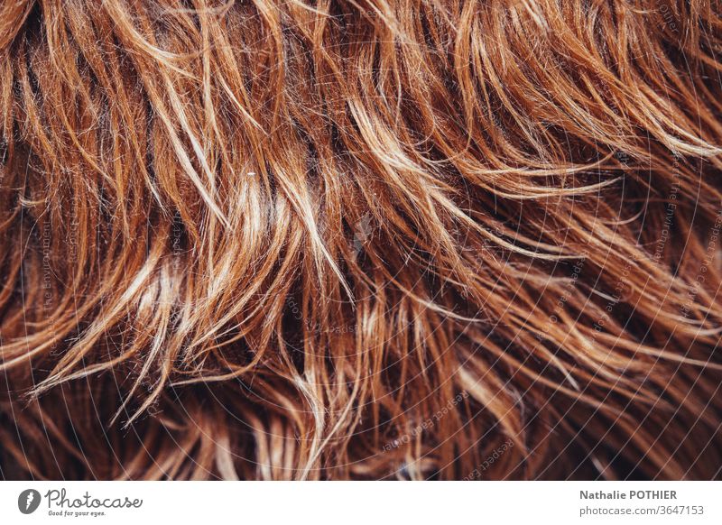 Fake fur fake brown hairs Hair and hairstyles Brown Split hairs 60s kitsch reflections