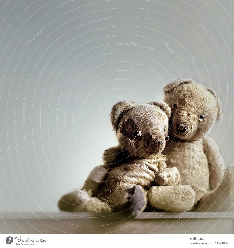 Loved up. Growing old together and being able to lean. Teddy bear Old Sit Historic Broken Protection Safety (feeling of) Friendship Together Compassion