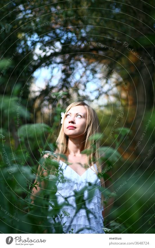 Calm girl is posing in tall grass in white dress looking up at light with trees on background adult autumn beautiful beauty beauty in nature blond hair