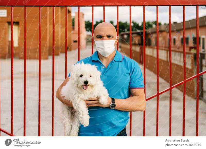 Man in respirator with Bichon Frise standing against metal palisade man bichon frise dog cute casual serious pet coronavirus white covid 19 epidemic outbreak
