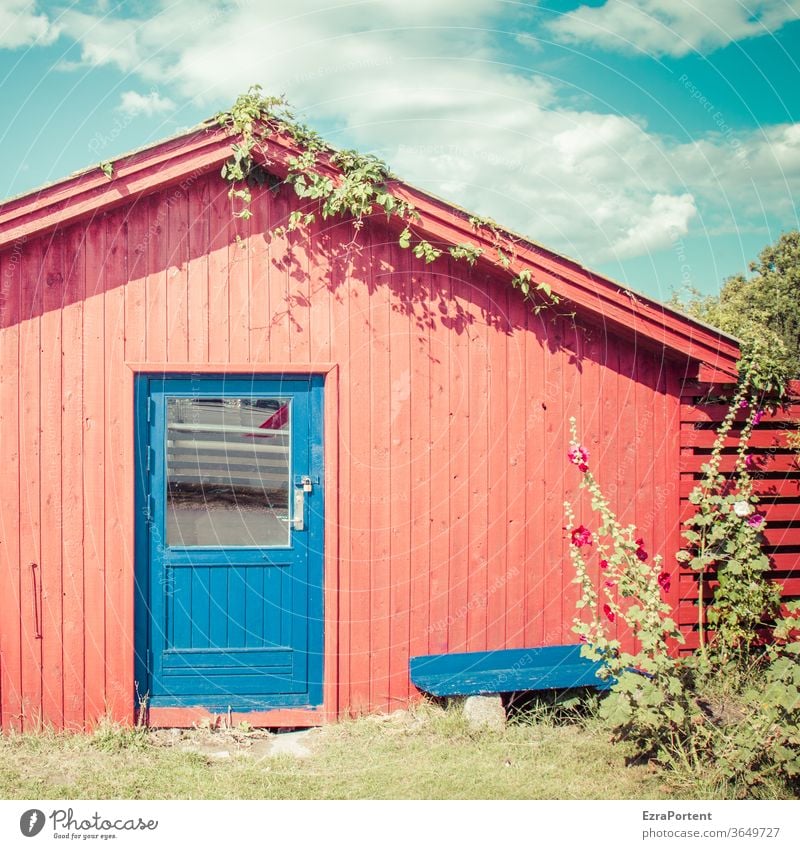 red hut, blue door House (Residential Structure) Hut Wood Summer Bench Sky Clouds Hollyhock Red Blue sunny