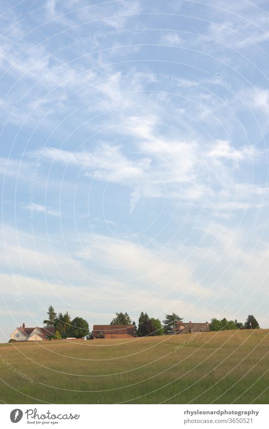 Wispy summer clouds float over a meadow, trees and rural houses. cloudscape landscape blue sky three portrait wispy gentle floating seasons conifers red green