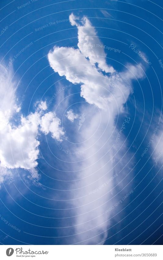 White cloud in the dark blue sky in the shape of an angel with wings spread Cloud formation Clouds in the sky Beautiful weather Sky Environment Sunlight