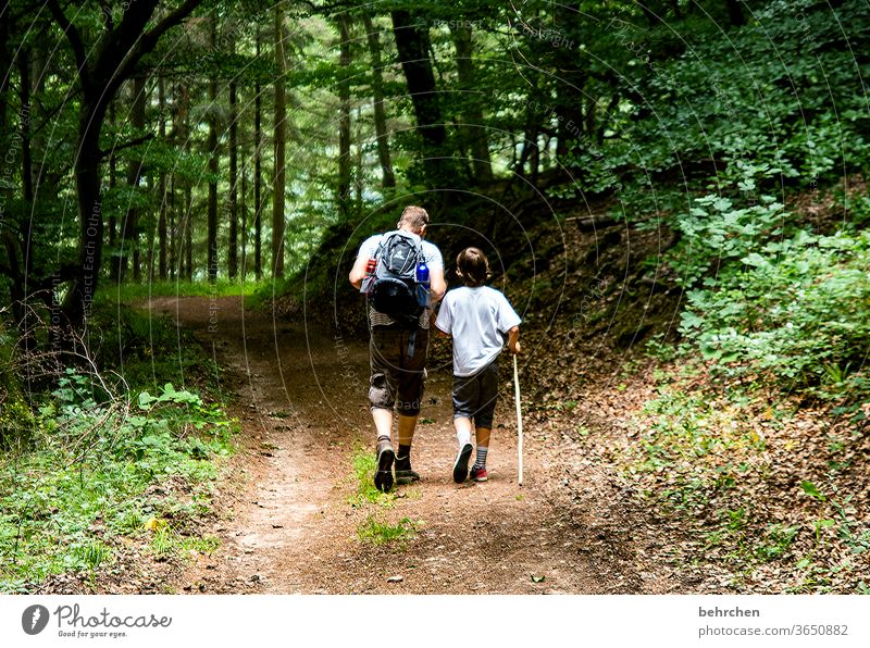 dynamic | wandering Hold hands Forest Vacation & Travel Love Family & Relations Summer Son Father Hiking Man Child Boy (child) Parents Nature Exterior shot