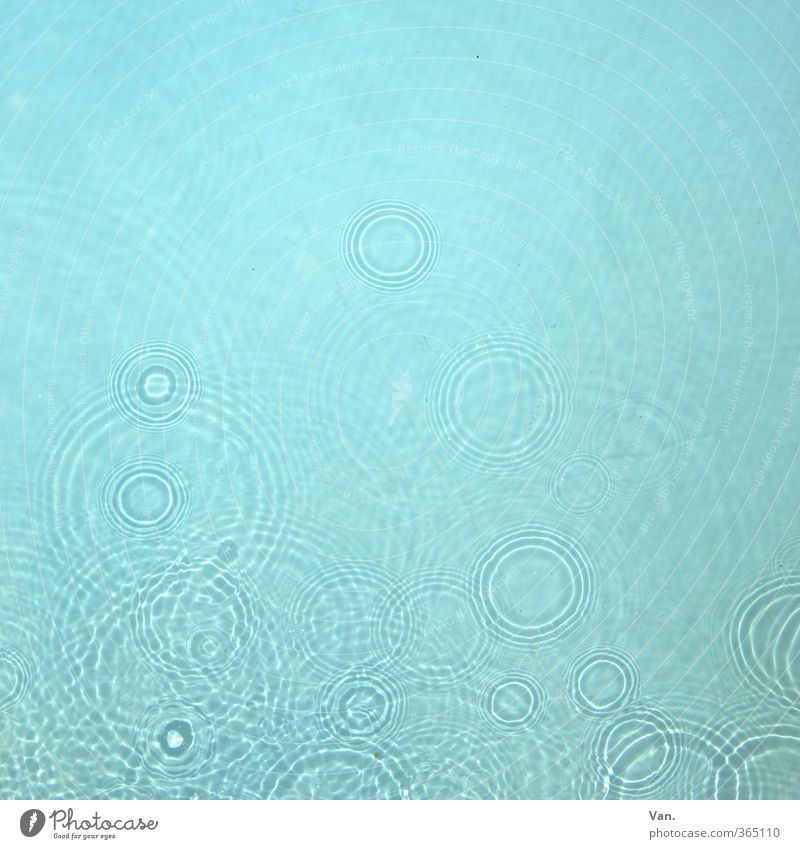 cooling down Water Drops of water Summer Rain Fresh Wet Round Blue Circle Swimming pool Colour photo Subdued colour Exterior shot Abstract Pattern Deserted