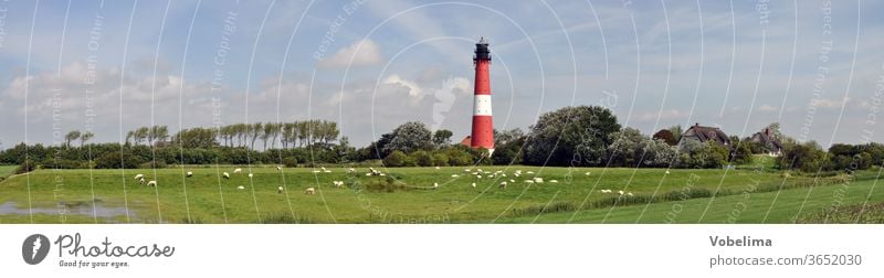 Lighthouse on Pellworm Island North Sea Schleswig-Holstein Sheep sheep panorama Architecture Landscape meadows huts Sky North Sea Islands