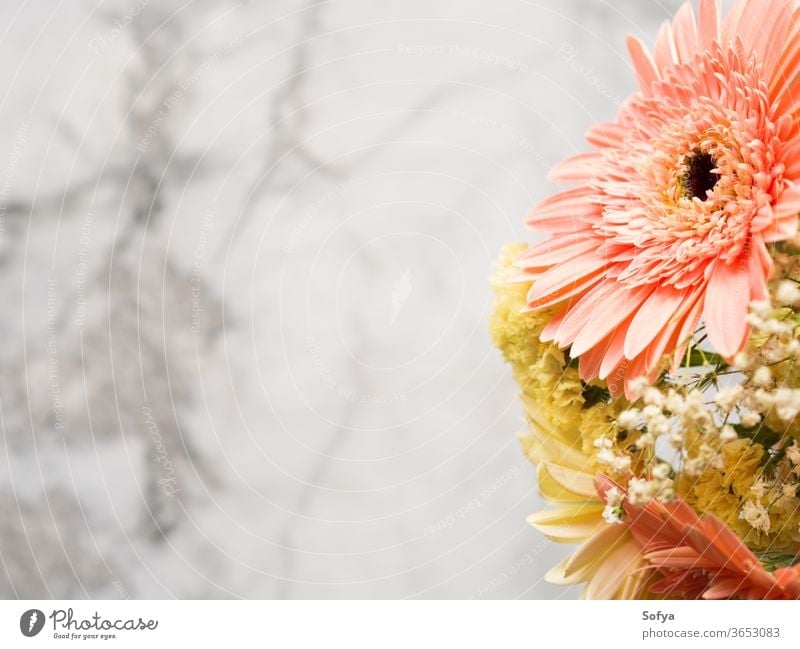 Yellow and pink gerbera daisy floral bouquet background funeral flowers marble greeting card layout yellow mothers day arrangement summer beautiful wedding