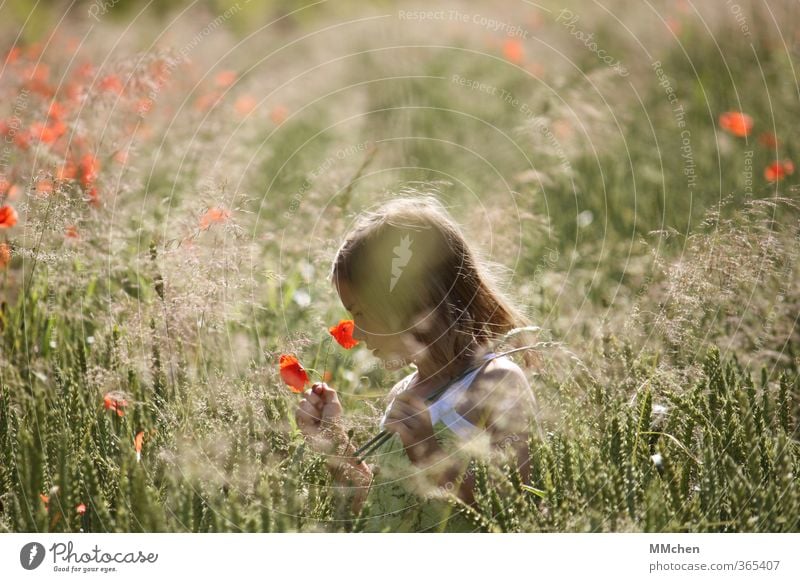time if away Contentment Calm Leisure and hobbies Girl 1 Human being 3 - 8 years Child Infancy Summer Beautiful weather Field Observe Blossoming Playing Hiking