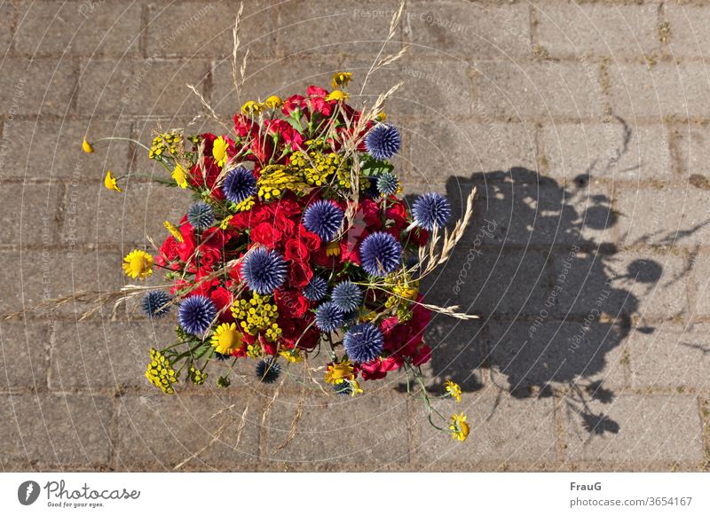 summer bouquet flowers Bouquet variegated motley colourful Red Yellow Blue globe thistles flush grasses Summer Shadow pavement Beautiful weather sunshine