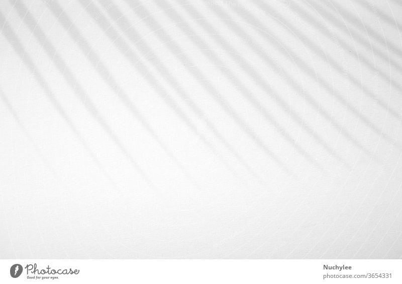 Realistic and organic tropical leaves natural shadow overlay effect on white  texture background, for overlay on product presentation, backdrop and  mockup - a Royalty Free Stock Photo from Photocase
