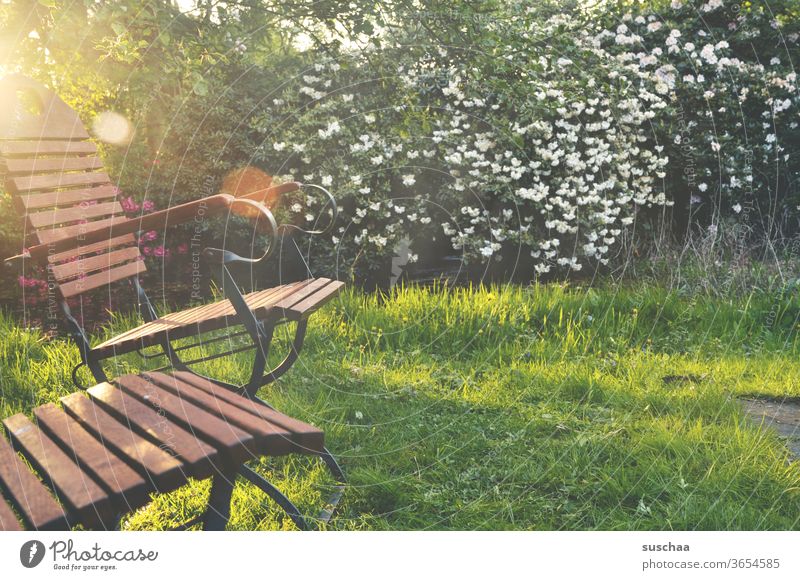 cosy garden with two empty garden chairs Appealing Garden Cozy bushes Blossoming Sunlight Grass bleed flowering shrubs rest Garden chairs Empty Sit down