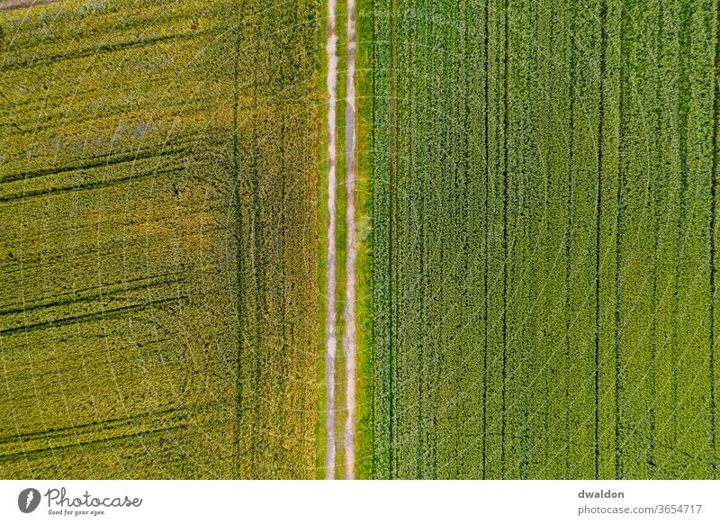 Field from above Agriculture aerial photograph Arable land drone plan Exterior shot Nature Colour photo Landscape Earth Deserted Environment Day Brown