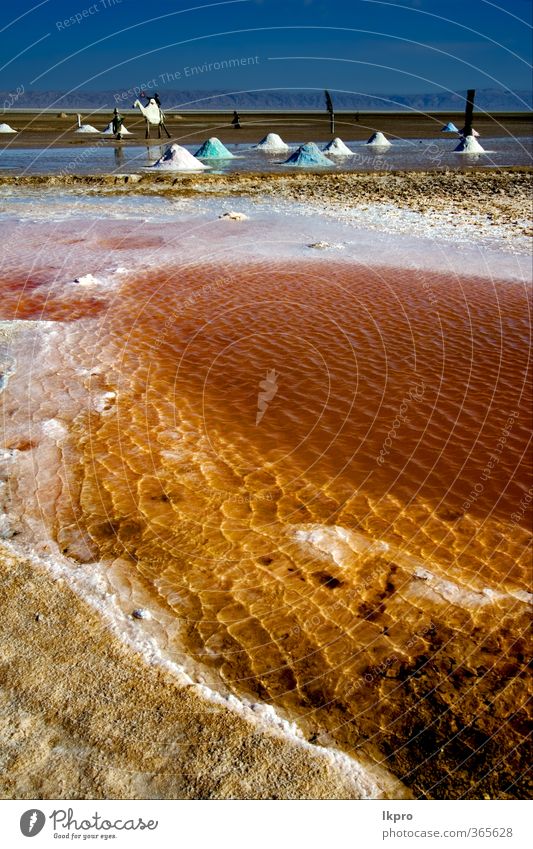 the salt lake desert in tunisia,chott el jerid Nature Hill Lake Line Blue Brown Pink Red Black White Loneliness Colour Tunisia Hole crystal of salt lonelyness